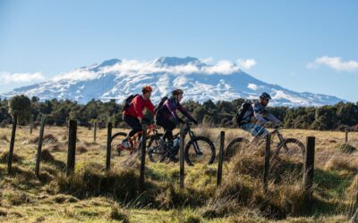 Cycling & Mountain Biking in and around Tongariro National Park